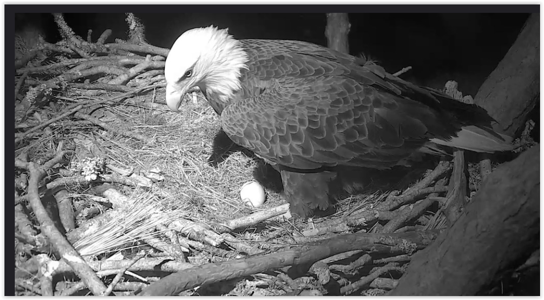 Screen Shot 01-14-20 at 07.44 AM