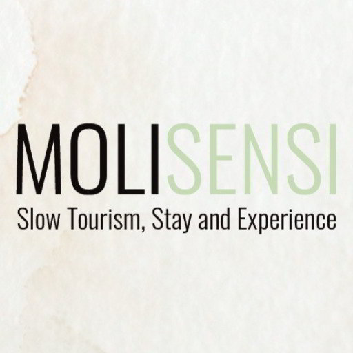 Molisensi, il nuovo portale turistico del Molise debutta in Bit 4 logo molisensi portale turistico molise