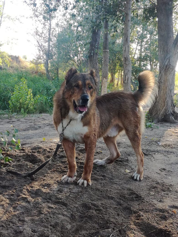 Корсар до 64 взрослый прошло на второй тур (Актобе)