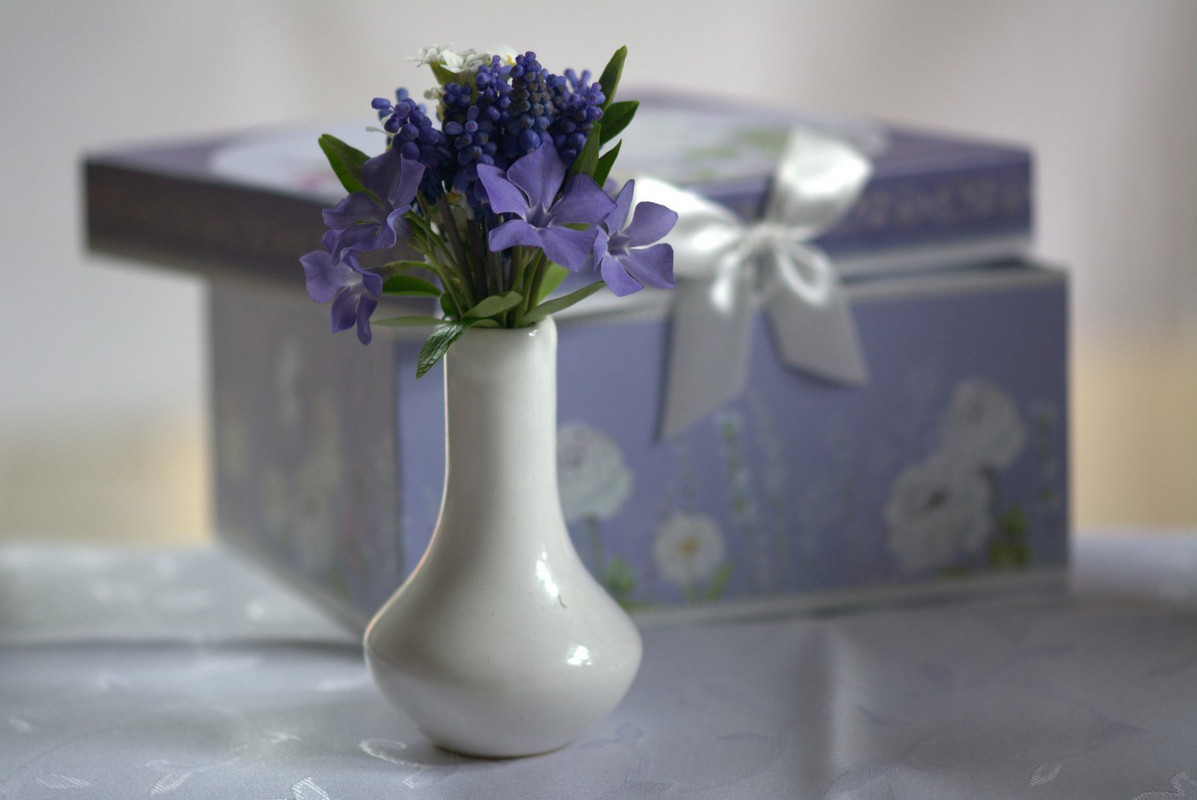 purple-little-flower.jpg