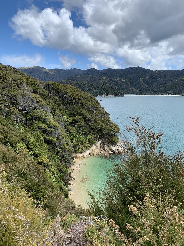 Abel Tasman-Motueka - Nueva Zelanda: La primavera Kiwi nos fue marcando la ruta (4)