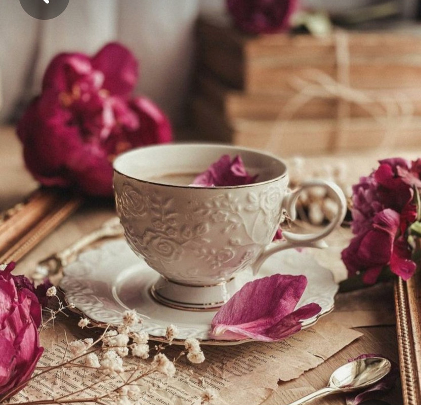 Screenshot_20230305_011024_Pinterest