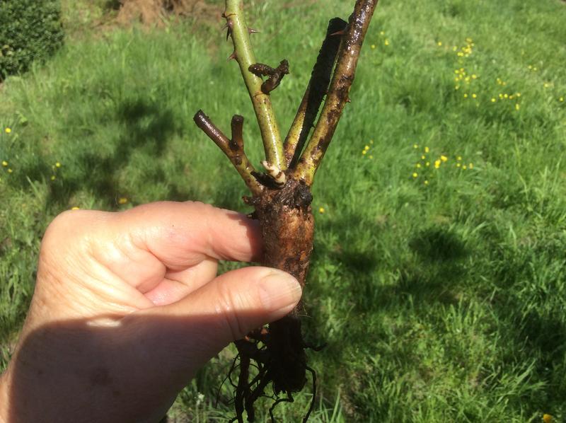 54ECCB21-A855-4F0F-A322-A56C47682430