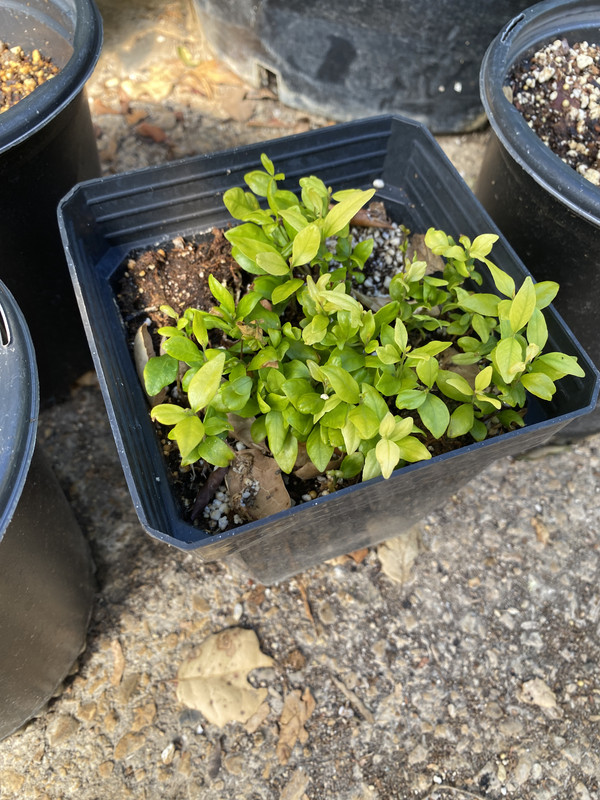 601B4A5D-A95E-450D-85DD-20486EE3F486