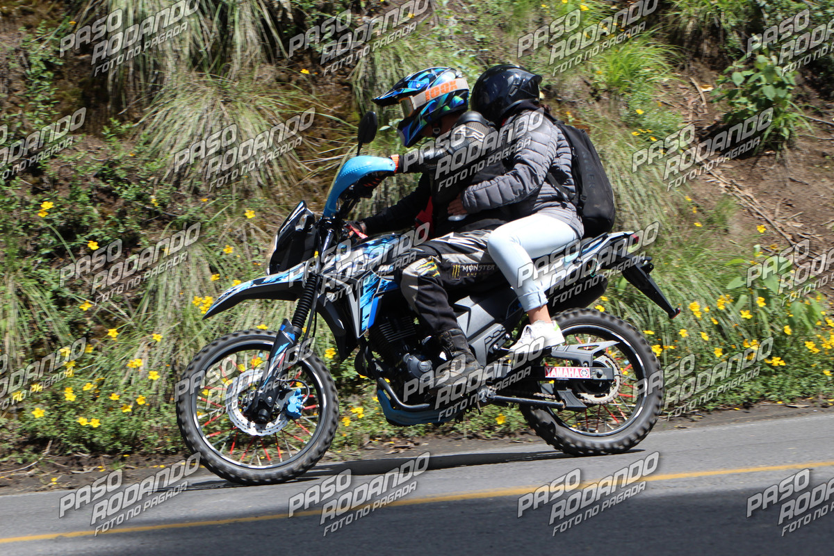 IMG 1221 wm 61208 5 watermarked — Postimages