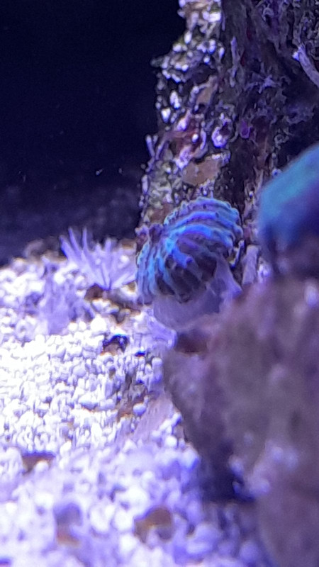 изображение_viber_2021-04-15_16-51-32