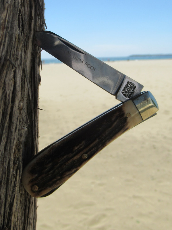 AW Small Sambar LF (2) 12-7