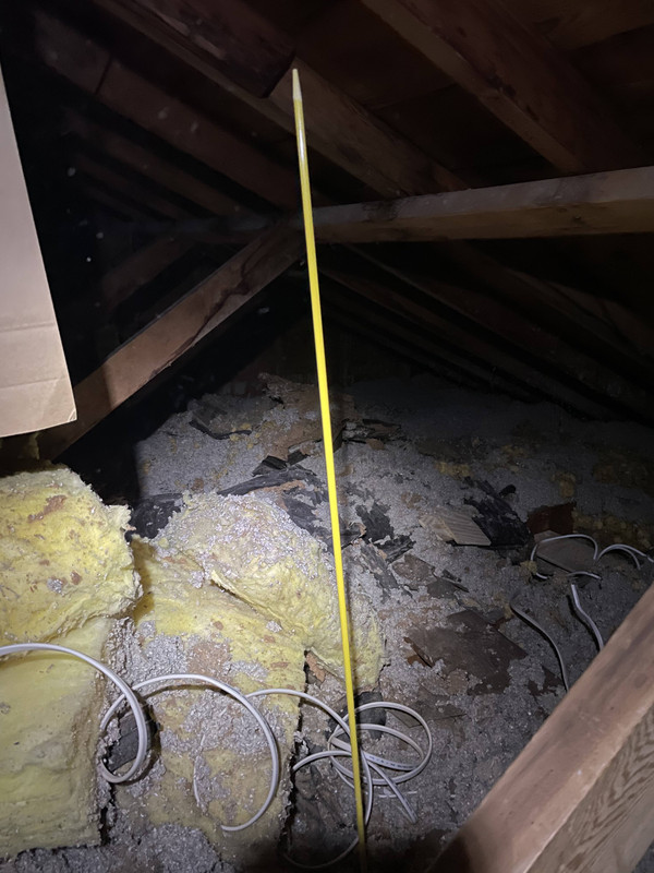 IMG-0960.jpg