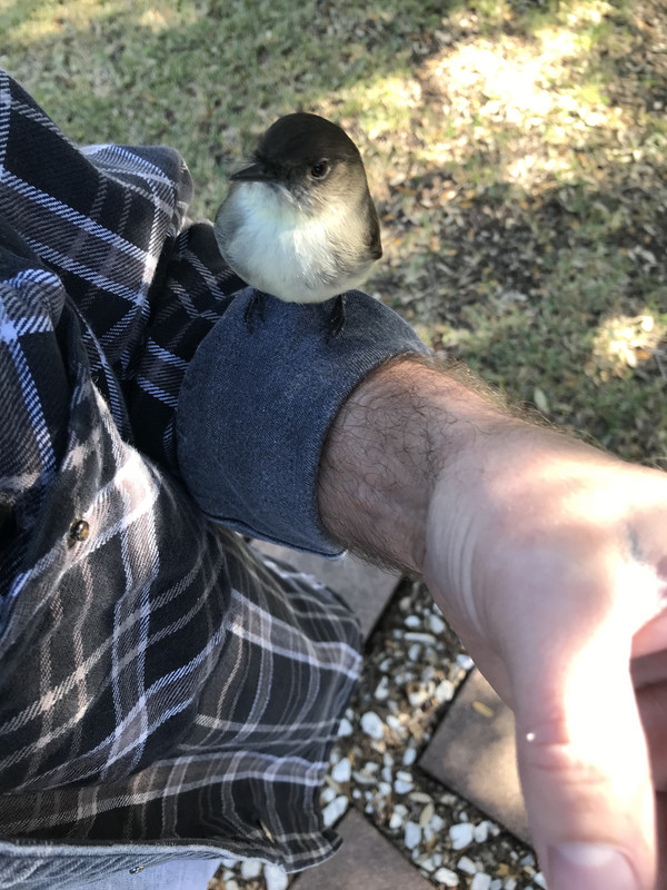 2E3B2BAA-8348-49C1-AC0E-1BC0481F091C