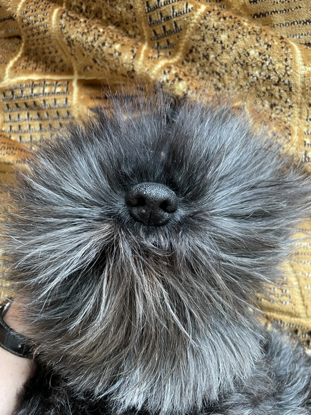 https://i.postimg.cc/7hDTBvCH/IMG-9835.jpg