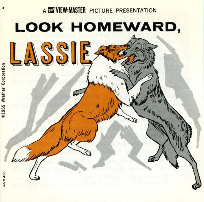 lassiey (2)