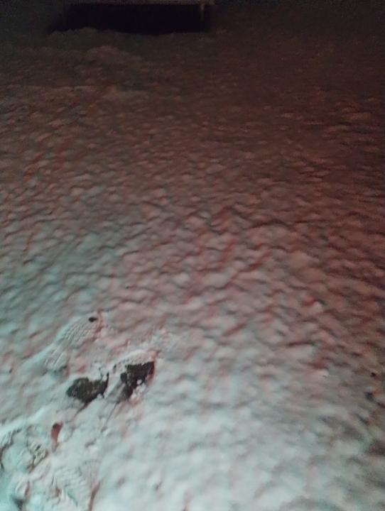 IMG 20260129 063116066