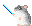 rat image