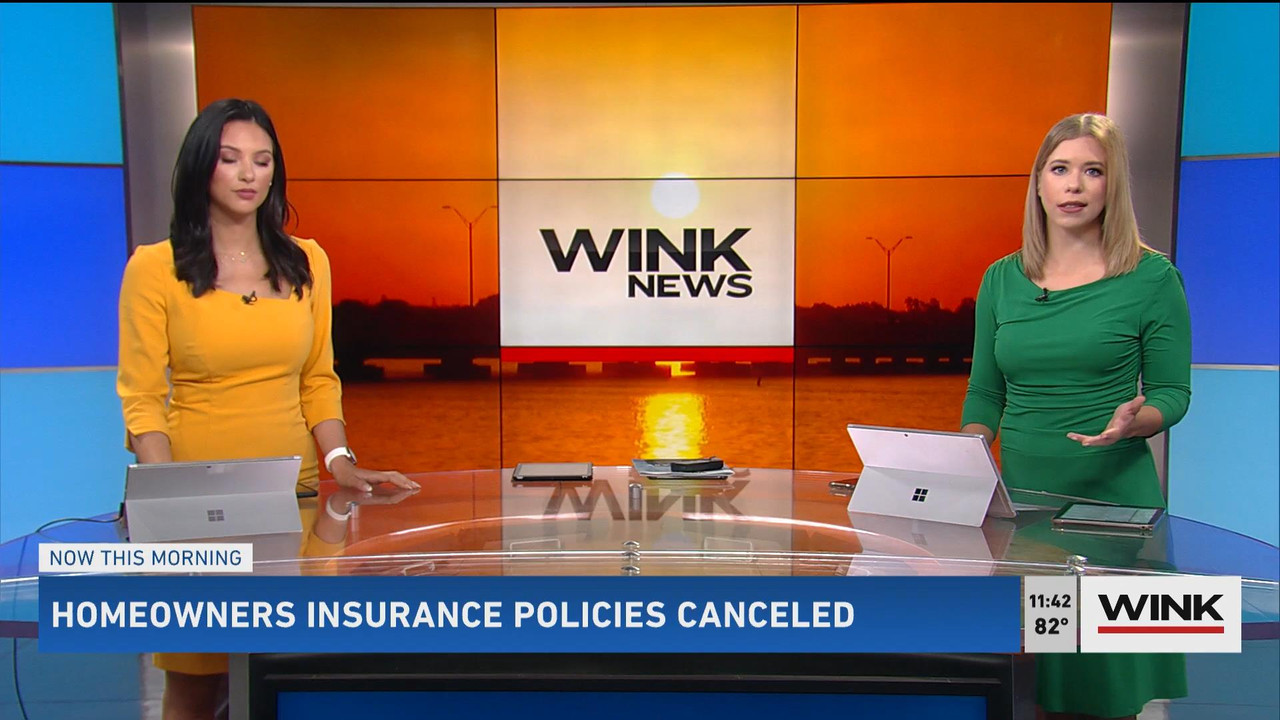 05.23 - 16.30.00 - WINK News @ 11 30AM. Local news, sports and weathe....ts_snapshot_12.30_[2021.05.