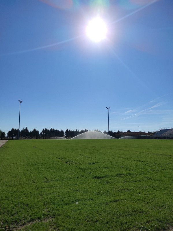 585379665 25150421644620321 1782948411170252752 n