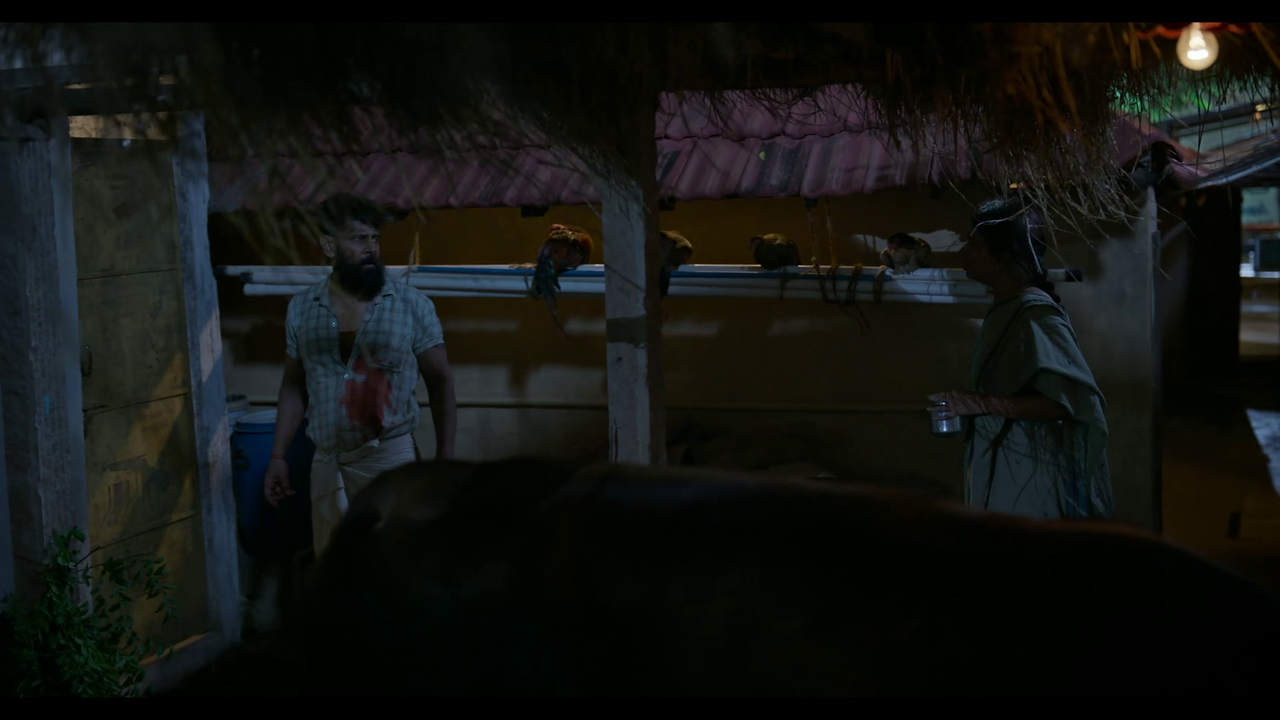 vlcsnap-2025-04-24-21h22m02s225