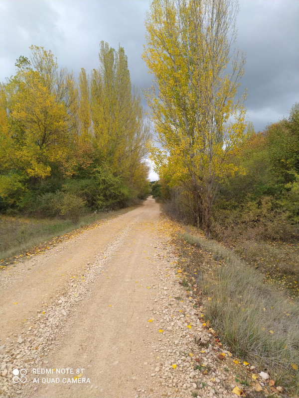 IMG-20221023-WA0014