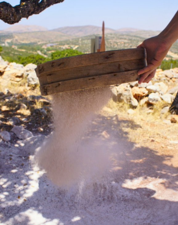 Η ΜΑΣΤΙΧΑ ΩΣ ΨΗΦΙΑΚΟ ΚΑΛΕΣΜΑ ΓΙΑ ΤΟ ΚΑΛΟΚΑΙΡΙ ΣΤΗ ΧΙΟ