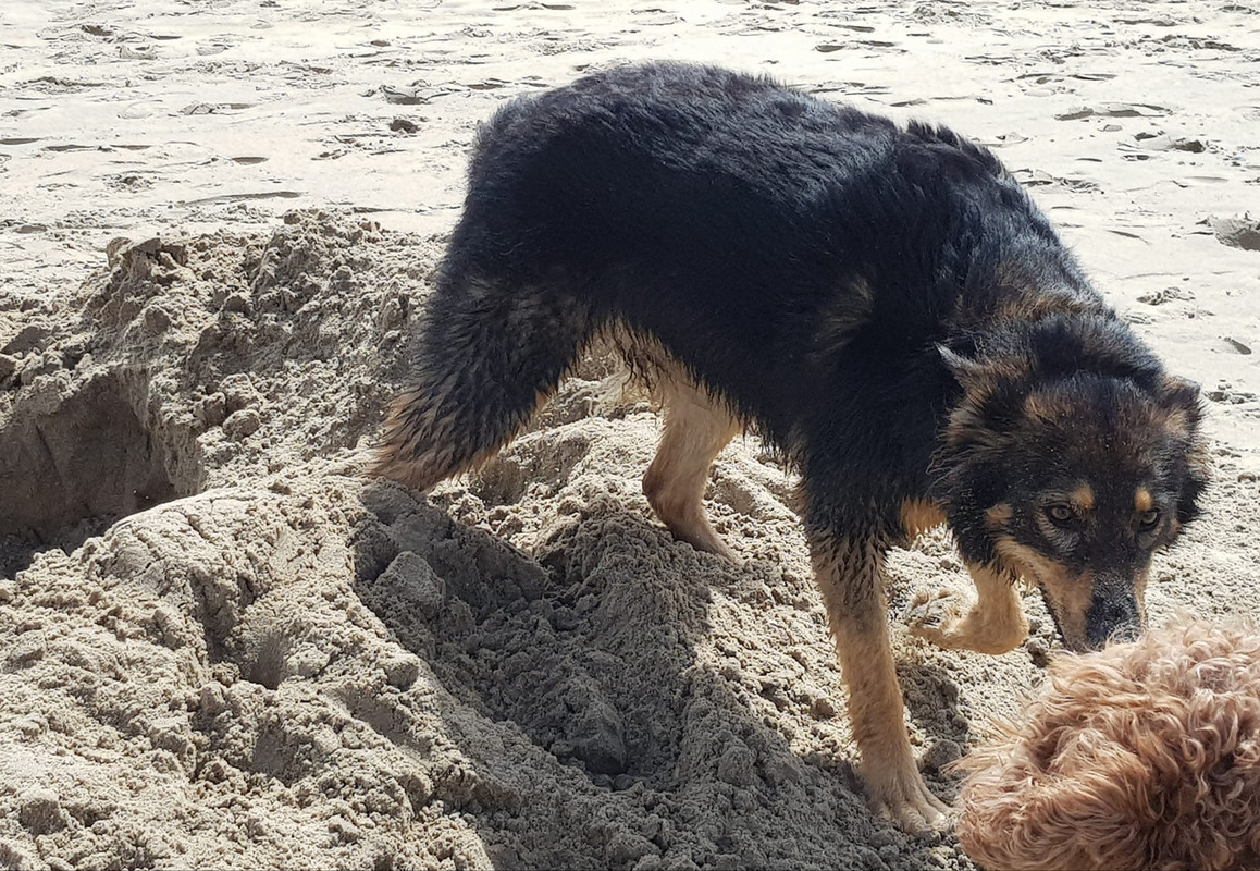 365643311_6603547006370048_5012976005271341521_n