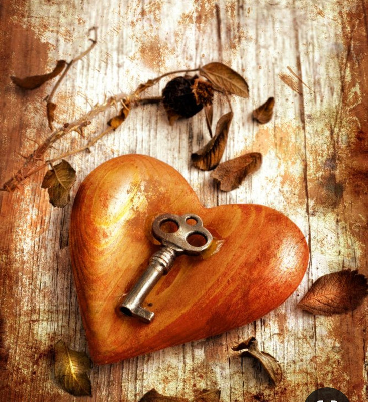 Screenshot_20240214_174135_Pinterest