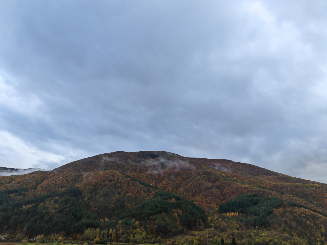 IMG_20231104_140420