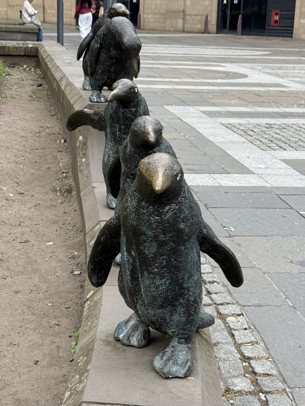 IMG-0476.jpg