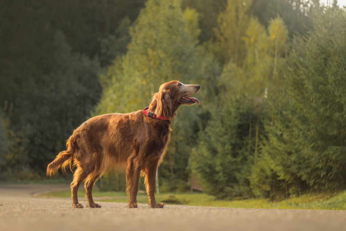 BCA7D415-8A1D-4830-86C4-3A2378E97D05