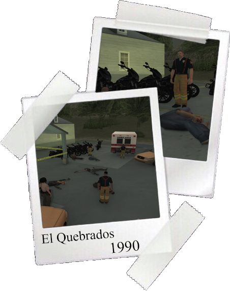 Polaroid.png