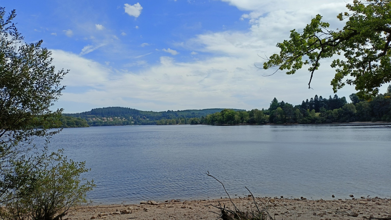 IMG20250907152540 (Large)