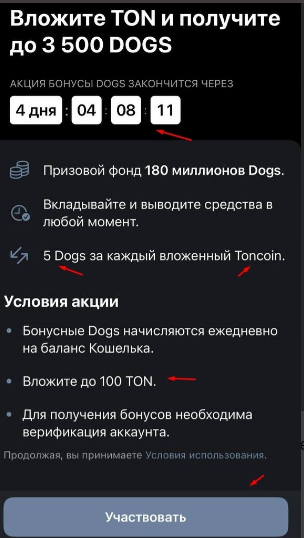 article content image
