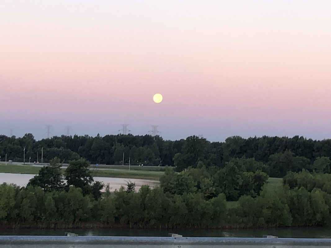 32539411-B90D-492C-88D4-E0069DD7BEC5