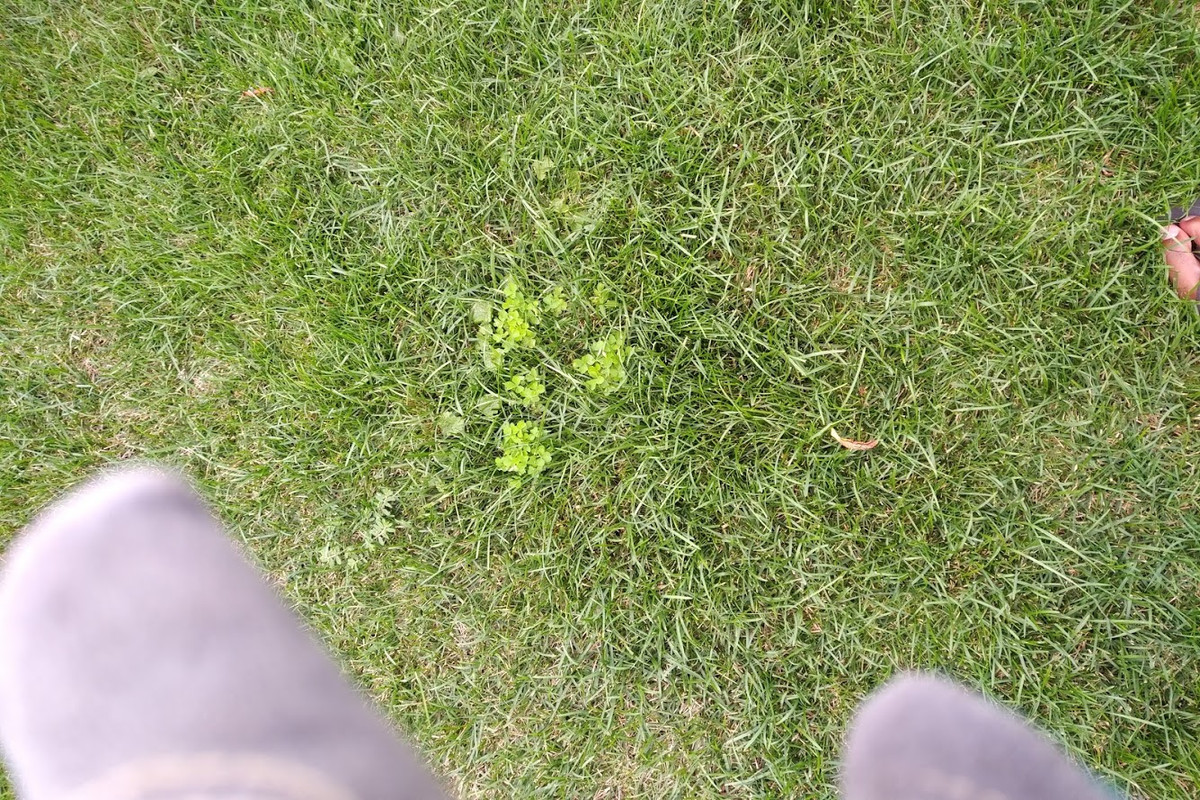 IMG_20180818_1649221