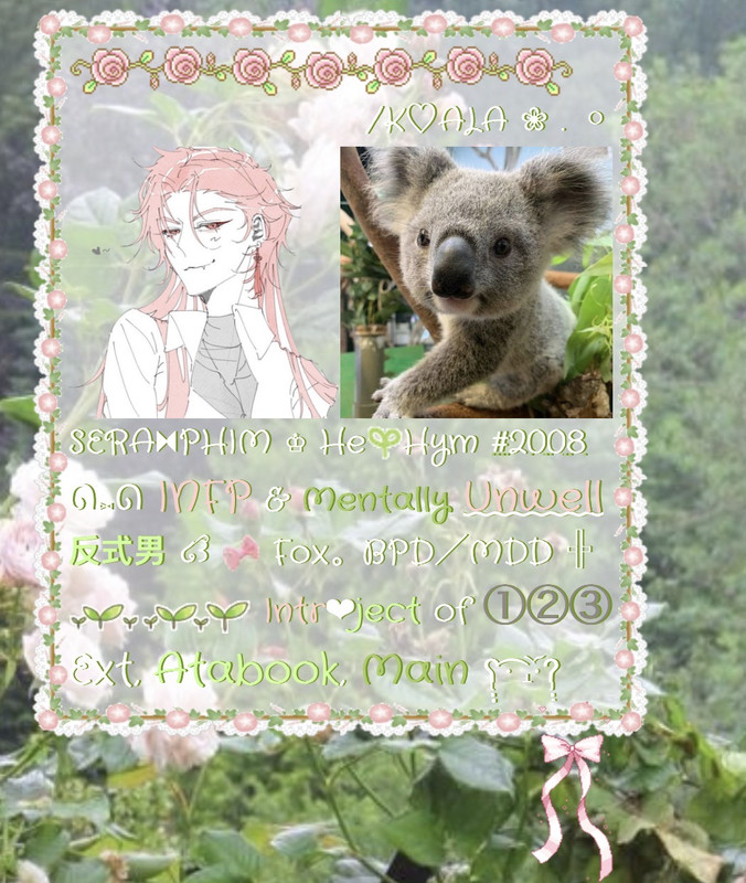 /koaia /koaia