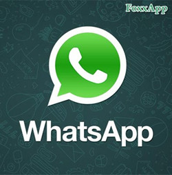 WhatsApp for Windows 0.3.3330.0 [32-64 bit]