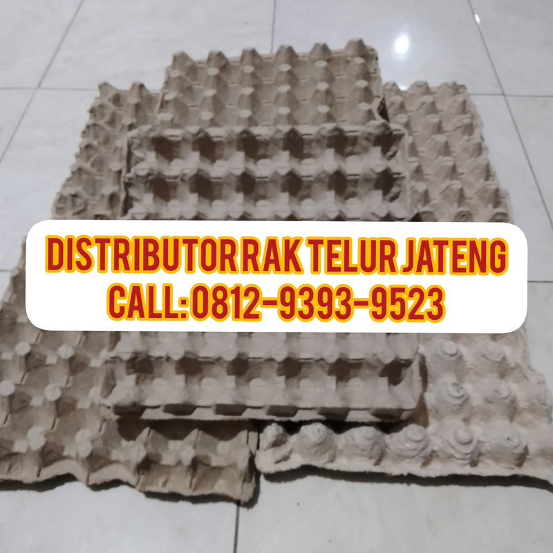 TERMURAH, CALL: 0812-9393-9523, Beli Rak Telur Puyuh Kepulauan Yapen