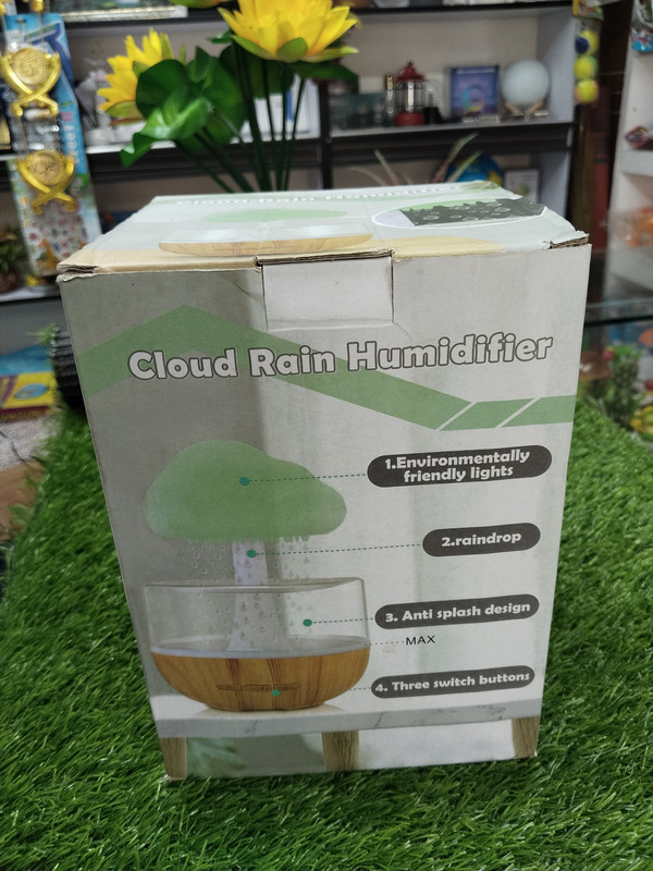 Cloud Rain Humidifier