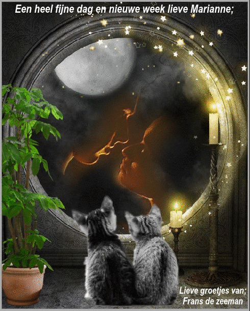 Image and video hosting by TinyPic