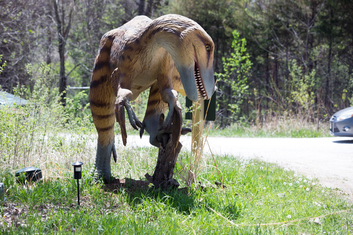 Wildlife Safari Park-9530