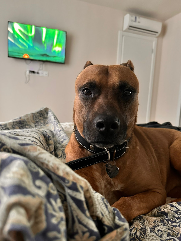 ABF36F33-B3A3-4591-91B2-8018ED81F40C