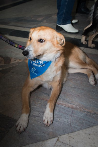 76379FDE-C254-4A06-8CEC-0C7AEEC411A2