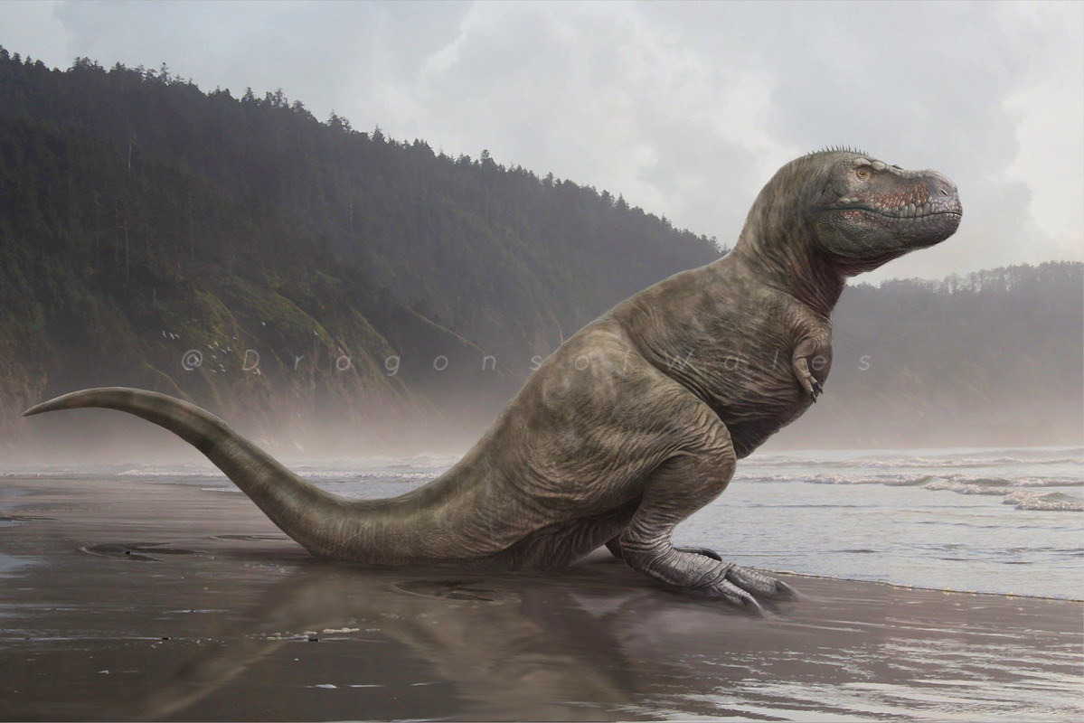 54333999c9466041fb89d943e6202316