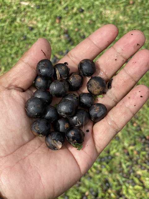 F0E05F8C-6B16-4101-B096-D3AECAF5649F