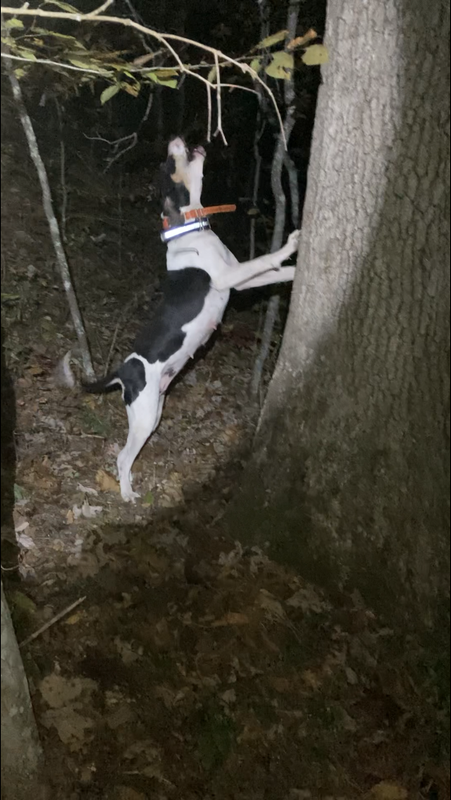 1CD2310A-8F4D-4285-A0DB-71612AF10BF4