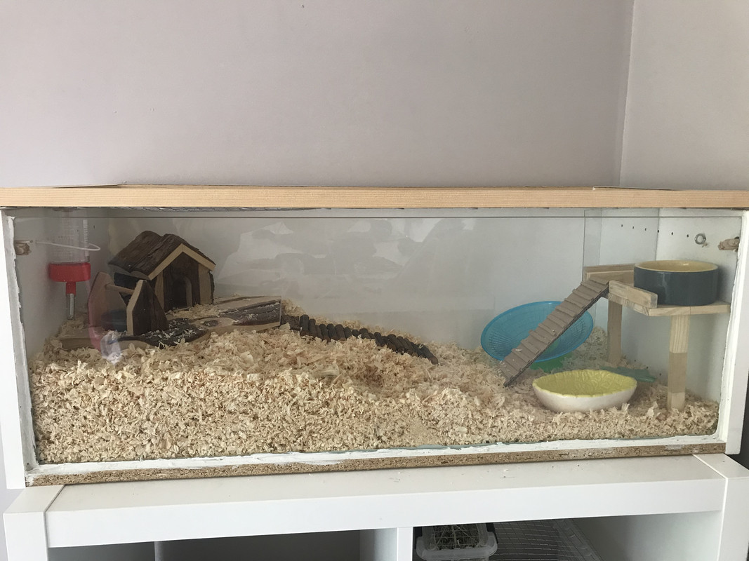 47B81B78-8D99-4565-86BD-6119246B7BF2