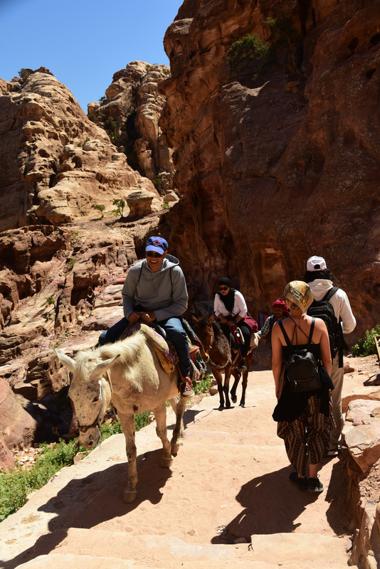 Una semanita por Jordania - Blogs de Jordania - Llegada y el Sur (60)
