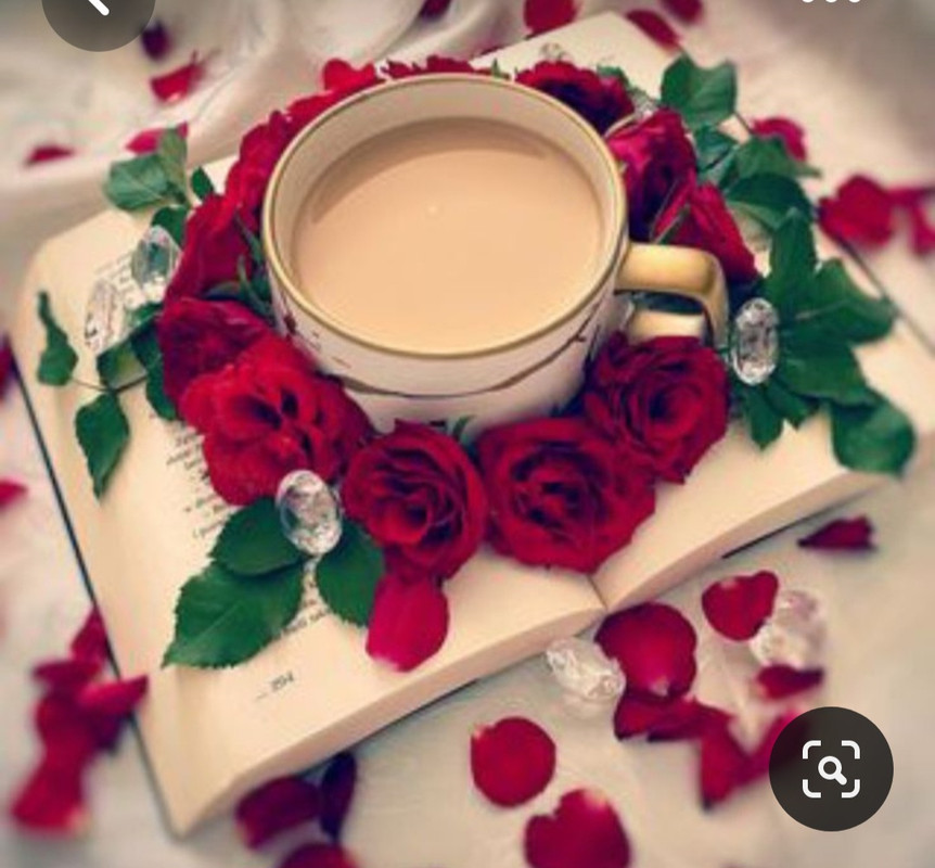 Screenshot_20230731_233023_Pinterest