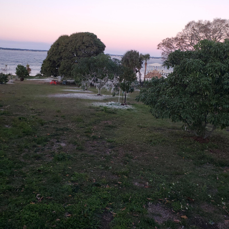 20260201 071409 002s