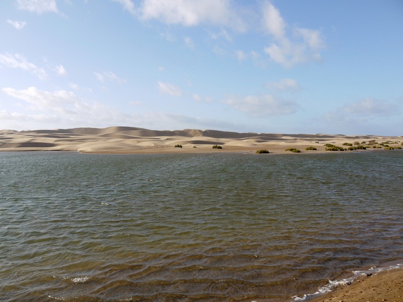 Tarfaya - Sáhara Occidental, Region-Marruecos (6)