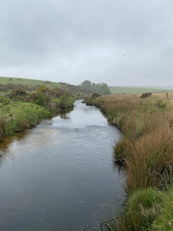 C02DB68E-B90F-43D8-B547-F453ADF22E89