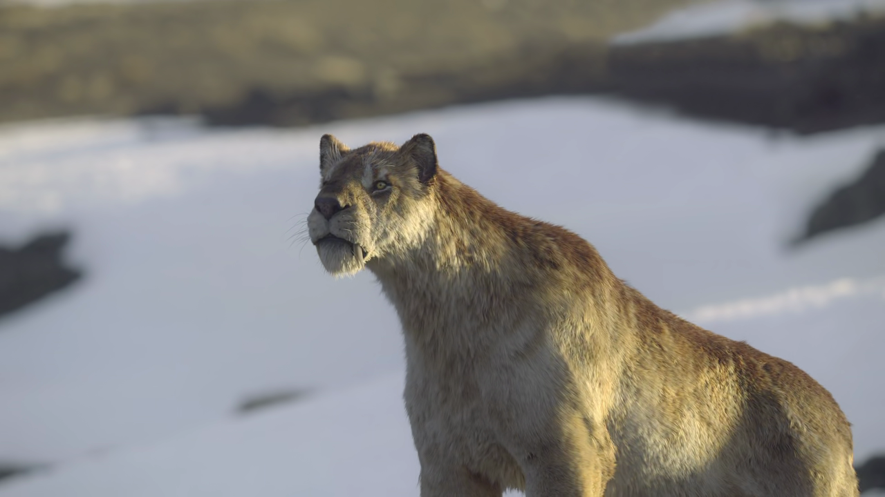 vlcsnap 2025 11 26 03h07m48s540